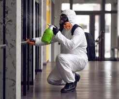 Glade Spring, VA Mold Remediation Company